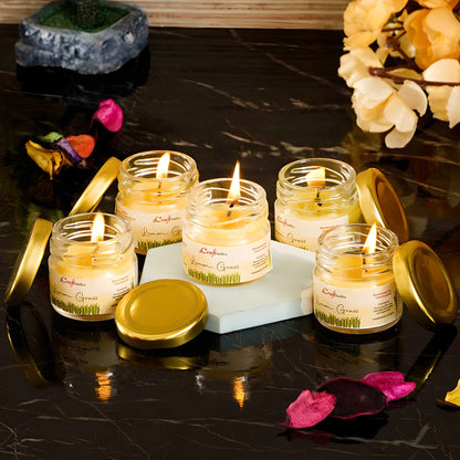 ZENITH VERVE Lemongrass Infusion Mini Jar Candle Collection - Set of 5