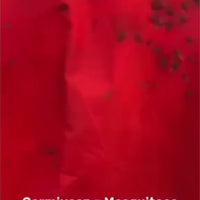 "La Lumière Purificatrice" UV Mosquito Abatement System